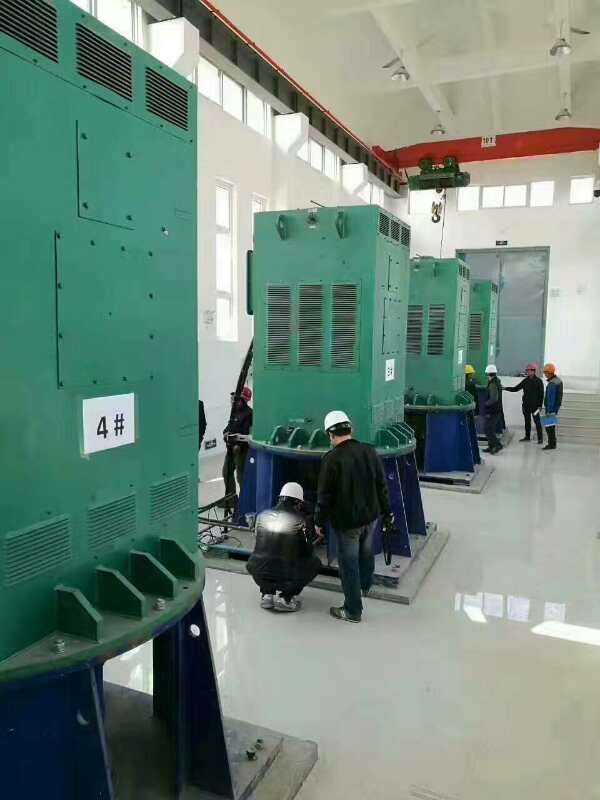 福泉某污水处理厂使用我厂的立式高压电机安装现场生产厂家