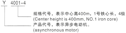 西安泰富西玛Y系列(H355-1000)高压福泉三相异步电机型号说明